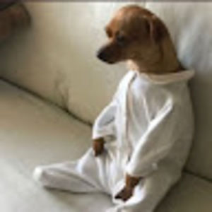 Meet your Posher, Benicia